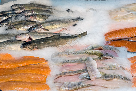 供出售的冰上新鲜鱼片高清图片