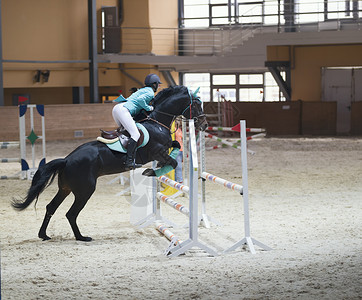 黑人种马上的年轻女子 在表演跳跃比赛中跳过障碍物宠物马术马具竞赛牧场动物女孩靴子舞步带子背景图片