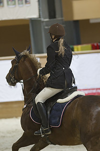 镫女性骑马骑马骑马者在露天跳跃比赛中骑着野马跑的视线马背马具骑士靴子牧场运动鬃毛宠物哺乳动物带子背景
