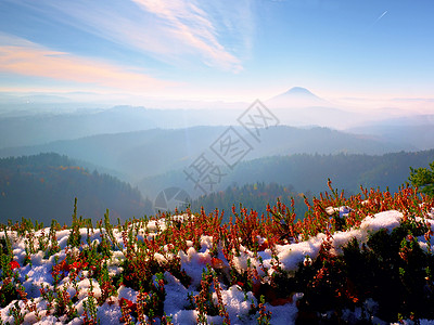 墨鲁根公园悬崖上满是棕榈树的红墨中的白雪 山地乡下长谷充满秋雾天空爬坡农村旅行雪花世界天气地形衬套风景背景