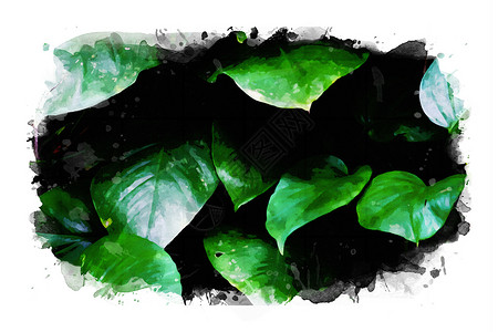 水彩的热带树叶背景混合媒体图像背景图片