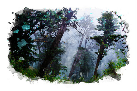 森林图像 水彩色和照片混合介质绘画木头水彩插图丛林背景图片