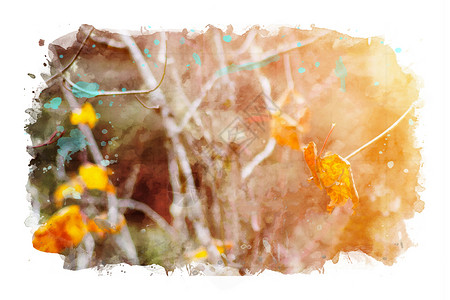 秋季氛围图像 水彩色和照片混合媒体图像背景图片