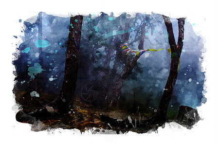 森林图像 水彩色和照片混合介质插图绘画水彩木头丛林背景图片