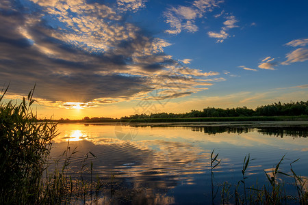 池塘上方美丽的日落的景象反射风景天空季节芦苇沼泽场景地平线橙子黄色背景图片