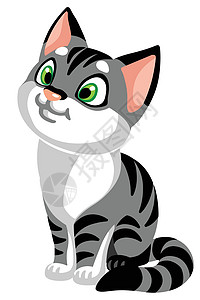 卡通灰色 ca猫咪插图动物卡通片小猫宠物背景图片