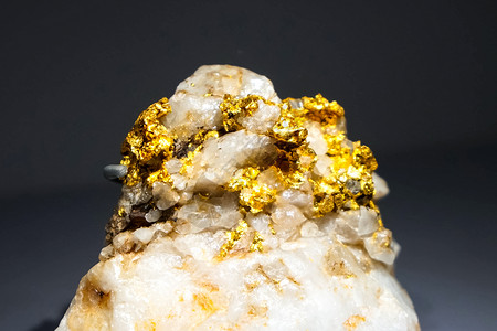 加州金麻石博物馆里有金色的块子 金色的块子琥珀色金库历史古董叶子地质学旅游建筑化石荒野背景