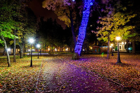 秋天夜公园 黄叶落下季节灯笼城市花园森林人行道景观路面叶子长椅背景图片