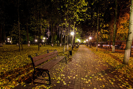 秋天夜公园 黄叶落下路面人行道场景季节叶子景观灯笼花园长椅城市背景图片