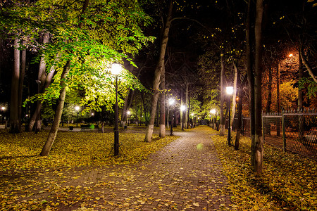 秋天夜公园 黄叶落下途径场景城市路面季节街道景观灯笼花园森林背景图片