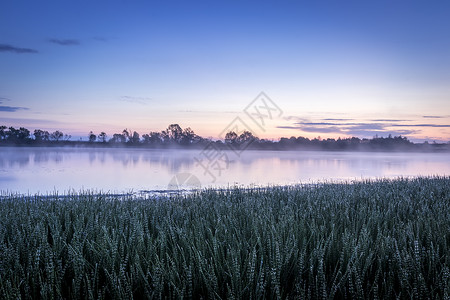 沼泽湖美丽的黎明高清图片