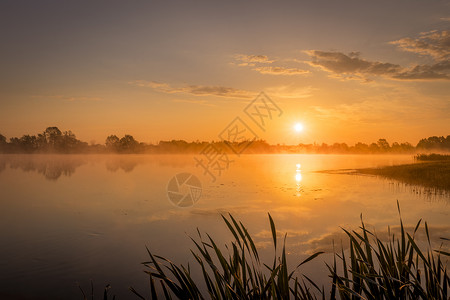 沼泽上的日落自然早晨高清图片