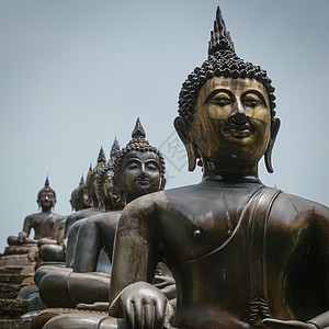 甘达基甘加拉马亚寺的布达雕像线金属佛陀男性宗教石头冥想佛教徒寺庙旅游城市背景