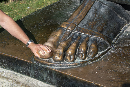 欧洲脚趾斑点狗历史的高清图片