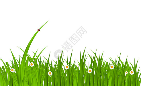 与草的夏天抽象背景 矢量插图天空季节镜片技术郁金香草地环境生态活力柔软度背景图片