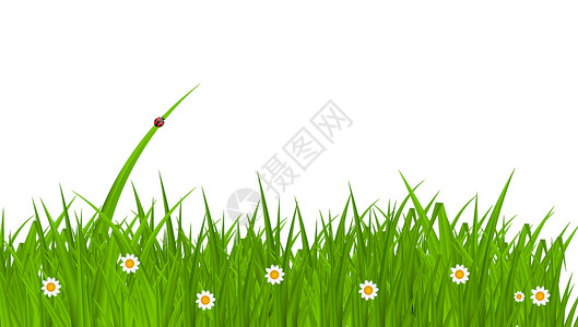 与草的夏天抽象背景 矢量插图镜片叶子技术郁金香阳光季节柔软度墙纸环境天空背景图片