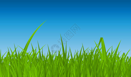 与草的夏天抽象背景 矢量插图草地技术阳光圆圈生态环境天空叶子墙纸季节背景图片