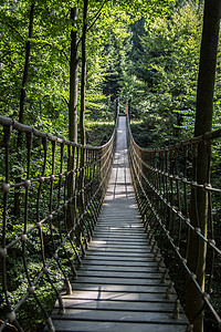森林里吊桥附近吊桥小径天桥棕色过渡森林绳索雕塑树木峡谷木板背景