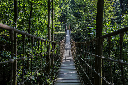 附近吊桥峡谷小径行人木板绳索天桥森林树木雕塑棕色高清图片