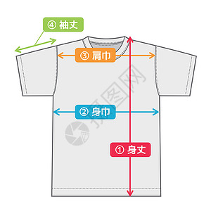 参展厂商尺码 char 的短袖 T 恤插图图表网站小样商业衬衫身体尺寸电子商务白色数据插画