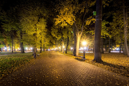 晚上的路秋天夜公园 黄叶落下城市叶子花园长椅季节正方形人行道小路森林植物背景