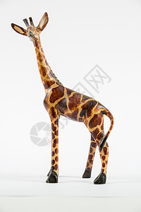 长颈鹿雕像自然白色的高清图片