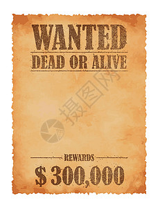 Grunged 通缉纸模板矢量图美国 Ol刑事框架插图横幅猎人空白荒野牛仔海报报酬背景图片