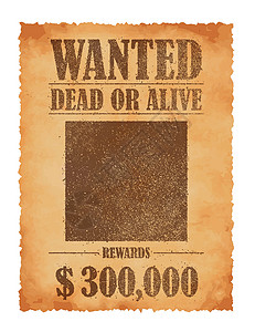 Grunged 通缉纸模板矢量图美国 Ol框架报酬棕色海报猎人牛仔荒野刑事插图空白背景图片