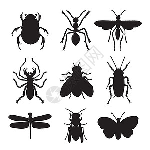 昆虫和动物 bug 蝴蝶蜻蜓蜜蜂瓢虫图标卡通 Vecto翅膀公园野生动物身体居住蚯蚓蟑螂行动水蛭宠物插画