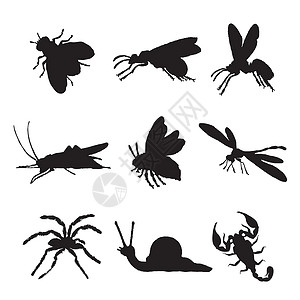 昆虫和动物 bug 蚂蚁蜻蜓蝎子蜘蛛蟑螂瓢虫剪影图标黑色 Vecto蛴螬毛虫居住身体水蛭漏洞公园宠物生活孩子插画