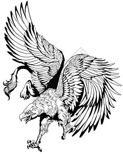 飞行狮鹫或狮鹫黑与白神话传奇狮子翅膀鹰头怪物生物绘画动物背景图片