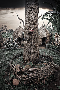 埃塞俄比亚多尔泽村大象形小屋茅草村庄建筑住宅木头竹子树叶活动部落天空背景图片