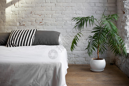 简易的现代卧室室内 床边有鲜花活装饰建筑学奢华家具椅子桌子阁楼地面房间枕头背景图片