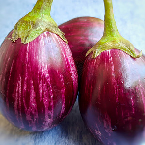 两份紫色大brinjal紫罗兰 在白纸上放在美丽的位置 添加为印度每日蔬菜食品茄子维生素饮食美食农业生产营养市场杂货店洋葱背景图片