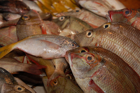 生海鲜鱼民众市场背景图片