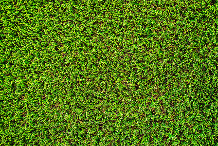 人造绿色草质背景图片