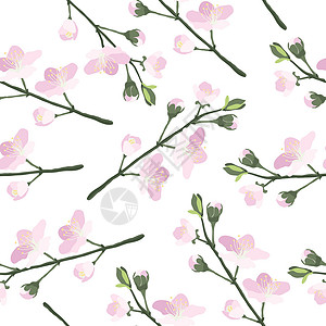樱花图装饰无缝图案与手绘樱花樱花分支 春天的自然质地 樱花盛开的日本花在白色背景下被隔绝 矢量 eps10 图插画