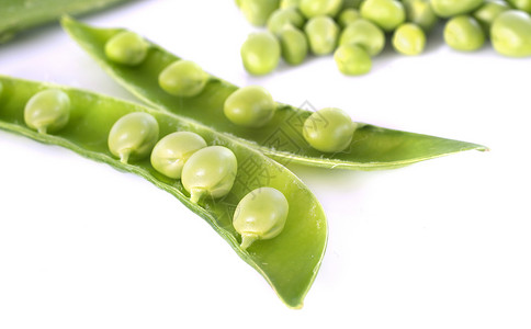 播音室中的豆子绿色食物蔬菜素食主义者工作室背景图片