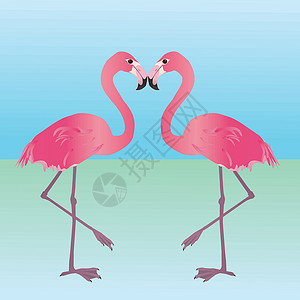 黄渤海候鸟湿地粉红火烈鸟候鸟热带野生动物镜子湿地羽毛动物园夫妻动物涉水插画