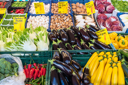 供出售的蔬菜大选茴香食物生产营养胡椒市场青菜小红帽茄子牧草背景