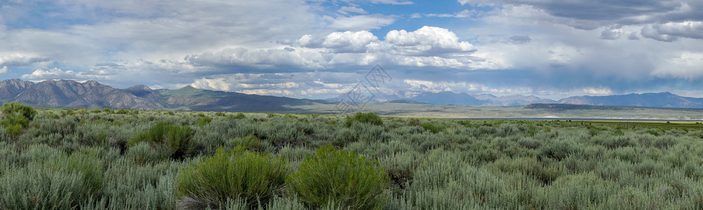 猛犸山绿野地 树丛植物和山丘位于紧接克劳利湖的背景之下反射远足沙漠高山草原天空山脉旅游牧场场地背景