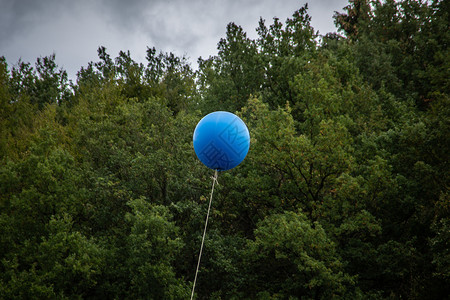 蓝气球在天空中盘旋蓝色橡胶乳胶弹性飞根橡皮树木皮带背景图片