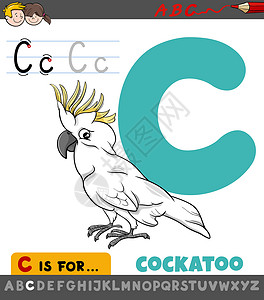 凤头鹦鹉带有卡通胡椒鸟的 C 工作表设计图片