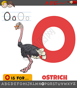 鸵鸟鸟字母 O 带有卡通软体动物特性的工作表设计图片