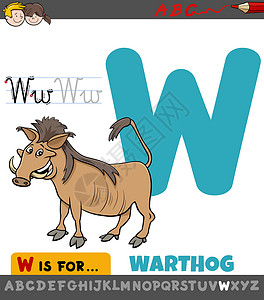 疣赘W 养殖猪动物的教育工作表设计图片