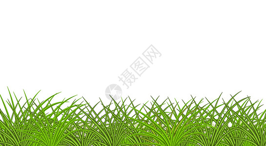 绿色现实草原图像 概况视图 草坪 图示背景图片