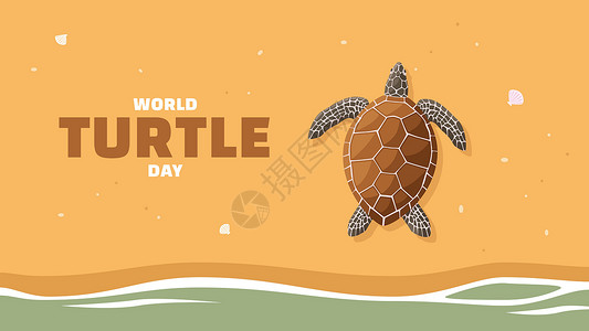 吃水线海龟产卵 世界海龟日设计图片