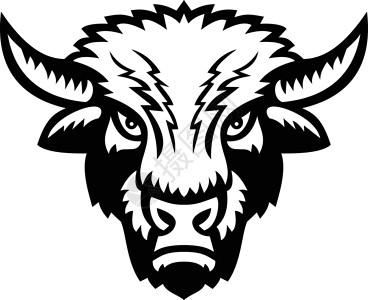 牛前腱Bison或美国水牛排头领前视场 体育马斯科牌黑白插画