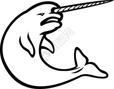 牙斑菌愤怒的纳哈尔Narwhal插图对虾品牌艺术品标识卡通片水生动物体育独角兽运动插画