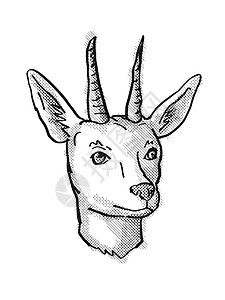 漫画动物鹿Reedbuck 濒危野生生物漫画回顾绘图背景